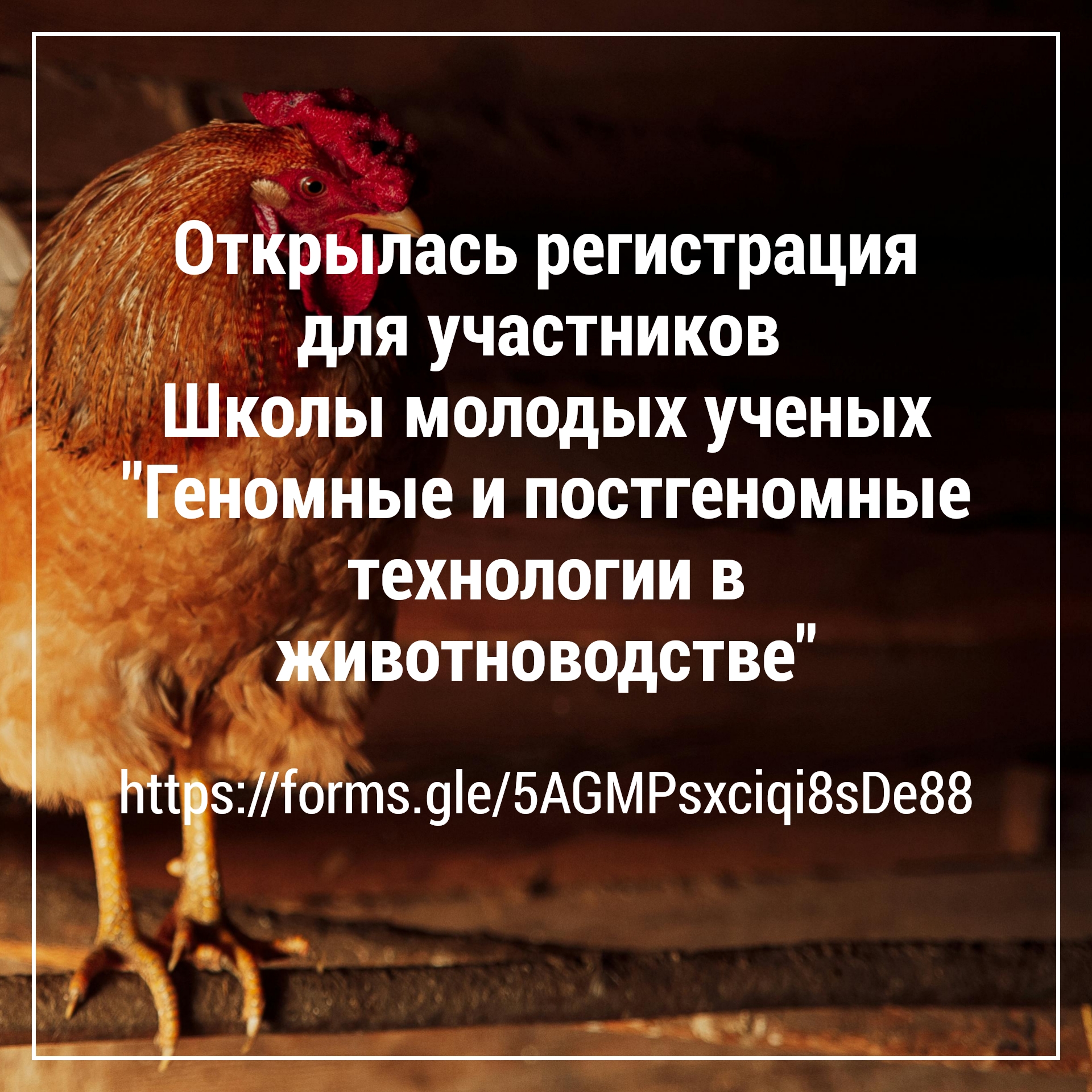 Регистрация в Школу молодых ученых «Геномные и постгеномные технологии в животноводстве» открыта!